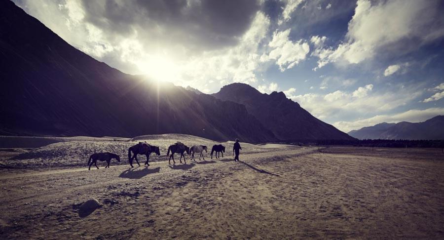 Chamba Camp Diskit Nubra Buitenkant foto