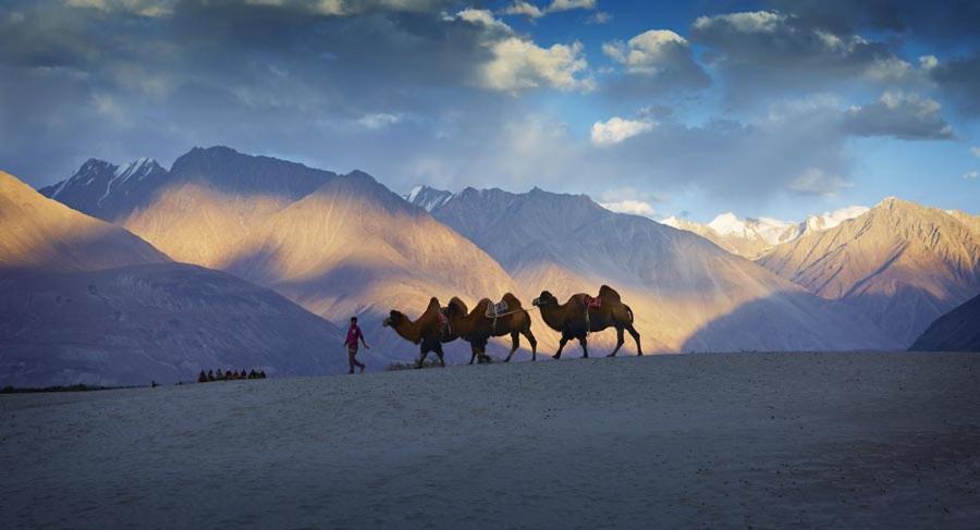 Chamba Camp Diskit Nubra Buitenkant foto