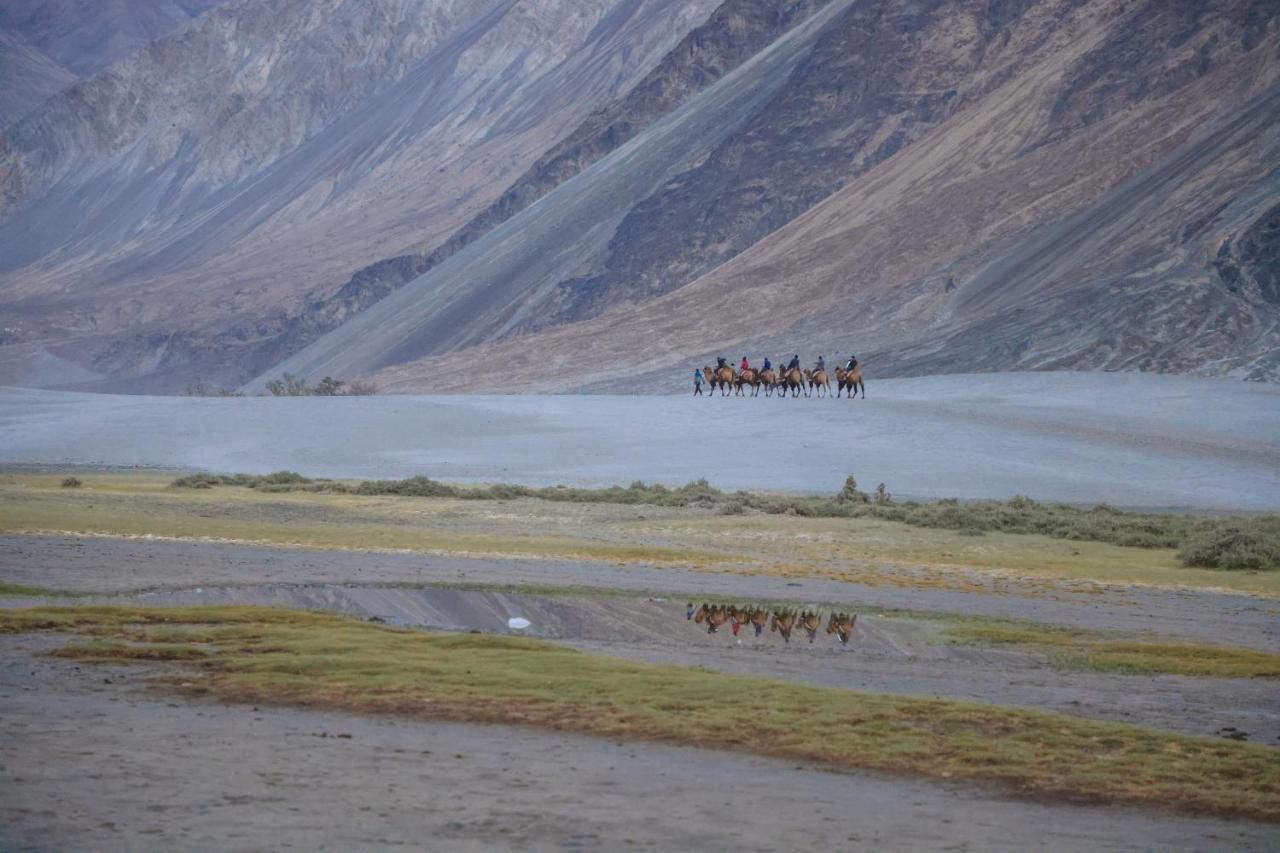 Chamba Camp Diskit Nubra Buitenkant foto