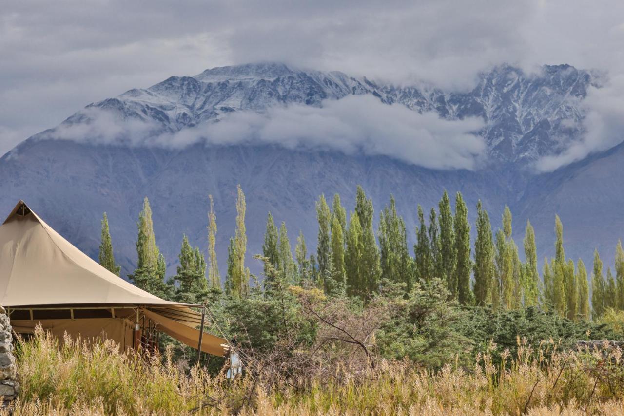 Chamba Camp Diskit Nubra Buitenkant foto